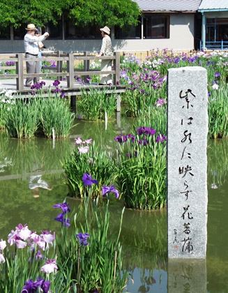 高浜虚子の長男、高浜年尾が1973年（昭和48年）太宰府吟行の折につくった自筆の「紫は水に映らず花菖蒲」の句碑