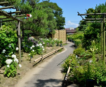 回遊式日本庭園
