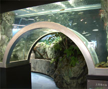 「くるめウス」は筑後川に住む魚などの展示がありミニ水族館となっている