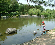 石橋文化センターの日本庭園（楽水の池）