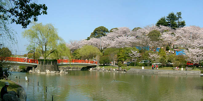 勝盛公園は飯塚市民の憩いの場であり桜とツツジの名所である