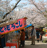 勝盛公園の桜開花時期には露店もたくさん出る