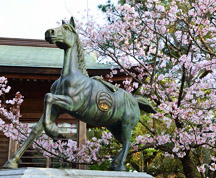 馬の像と桜