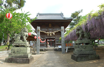 りっぱな中臣神社の楼門と将軍藤