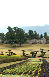 吉野公園は広大な県立の都市公園