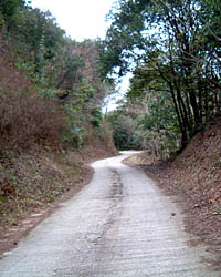 奥十曽の大エドヒガンは狭い道を６キロ行ったところにある
