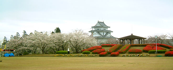 天ケ城公園には城郭を模した歴史民族資料館があり桜とつつじの名所である