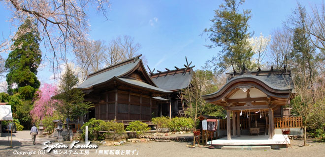 浄専寺に隣接してある三ヶ所（さんがしょ）神社。ここにも桜がたくさんある
