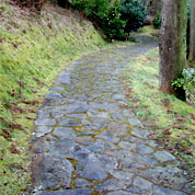 椿山森林公園の中にある石畳の殿様道路