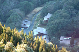 椿山森林公園のキャンプ場