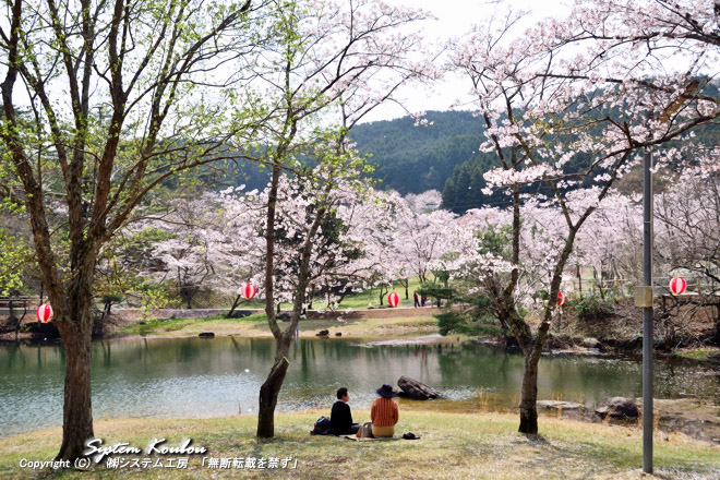 日田市の萩尾（はぎお）公園は日田市街地西部の丘陵地にある総合公園で桜の名所
