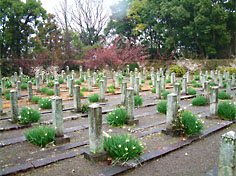 西南役軍人墓地