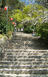 唐津城へは長い石段を登る
