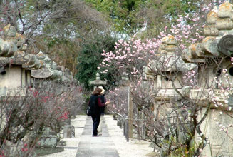 高伝寺は佐賀藩鍋島（なべしま）家の菩提寺だった