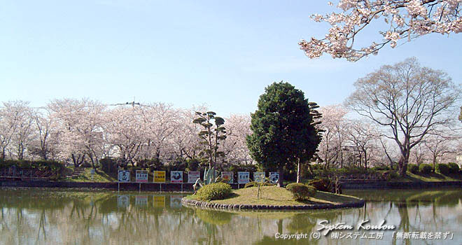 小城公園は「さくら名所１００選」に選ばれている桜の名所