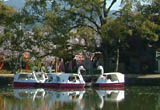 小城公園の池にあるスワン型のボート