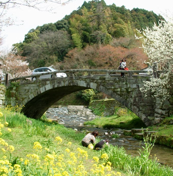 春には菜の花と桜が咲く秋月眼鏡橋（2003年には車の通行はOKであったが今は禁止）