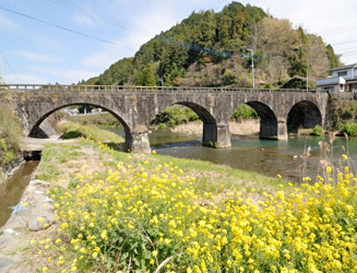 川原に菜の花が咲いていた。菜の花と石橋は似合う