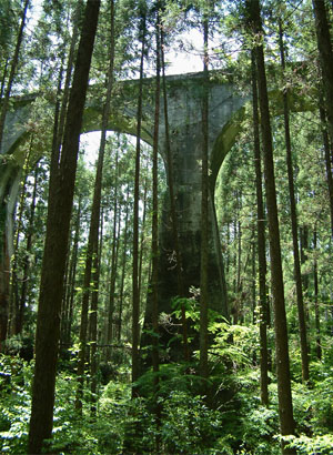 菅迫（すげのさこ）橋梁の下は足場も悪くジャングル状態です