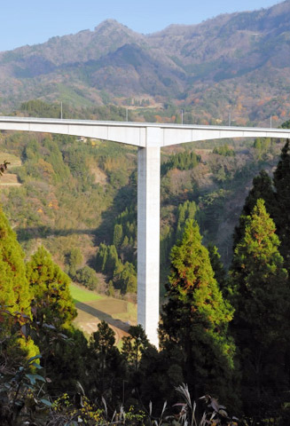 橋脚の高さ111メートルは林道としては日本一