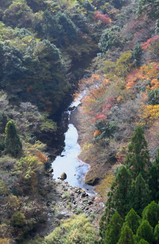渓谷を流れる岩戸川