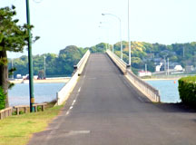橋を渡って見る青島大橋