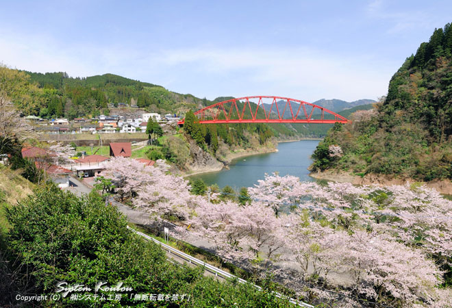 春には桜も多い川畑橋周辺