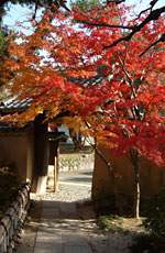 秋には紅葉がきれい（2004/11/30 撮影）