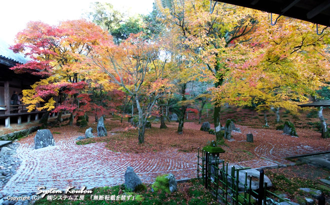光明禅寺の茶室から見る九州唯一の枯山水の庭園（一滴海之庭）