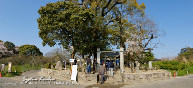 　約1300年前に、この場所（坂本八幡神社）で「梅花の宴」が行われた