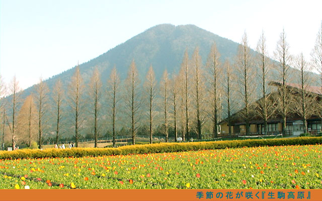 生駒高原は高原の風と四季折々の花が楽しめる