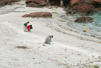 回廊パーク荒平天神の海岸で貝を探す人たち