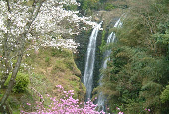 龍門滝は春には桜がきれい