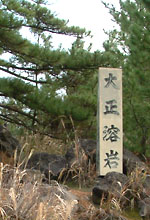 桜島の木が生え出した大正溶岩大地