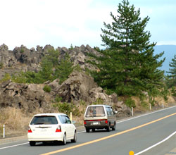 桜島を走る溶岩の中の道路
