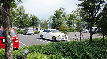 阿蘇に自生するコナラなどを植栽した駐車場