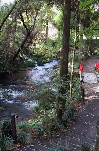 湧水から流れ出る水が熊本市内を流れる白川となる