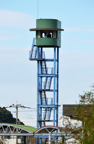 競走を撮影するための塔（パトロールタワー）