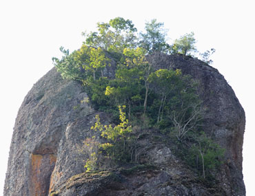 不動岩の頂上部には木が生えている