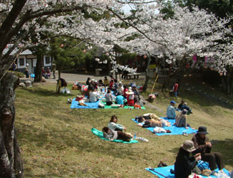 桜の季節には多くの花見客で賑わう