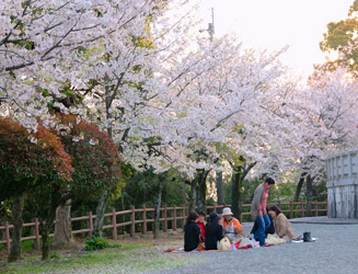 桜の名所でもあり、毎年４月初めには花見客で賑わう