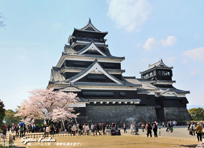 熊本城は加藤清正が慶長６年(1601)から７年がかりで築いた城で別名「銀杏城」