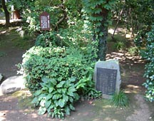 夏目漱石記念館（夏目漱石旧宅）にある産湯の井戸