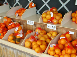 「道の駅不知火」にはミカンなどの柑橘類がたくさん販売されている