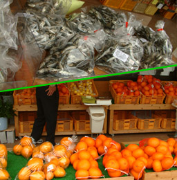 「道の駅たのうら」では柑橘類や太刀魚みりん干しなどが販売されている