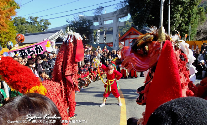 八代神社（妙見宮）で行われていた獅子舞。この獅子舞は長崎諏訪神社の「おくんち祭」の羅漢獅子舞を手本としたらしい