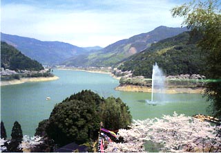 湯山温泉の近くにある桜の名所「市房ダム」