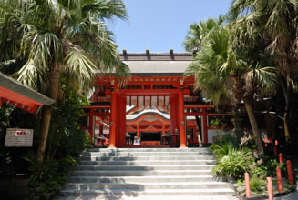 熱帯植物に囲まれている青島神社