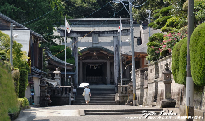 昔より眼疾に霊験あらたかとして崇敬厚く、九州はもとより、北は北海道、本州から直参祈願される参詣者も多い生目神社