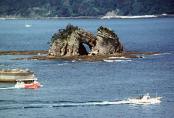 日南海中公園（日南海岸）の腕島と観光船